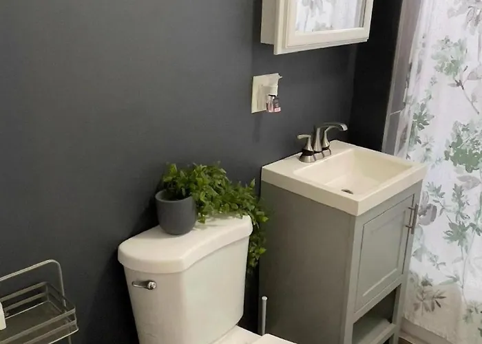 Apartment Affordable Near The 606 Chicago